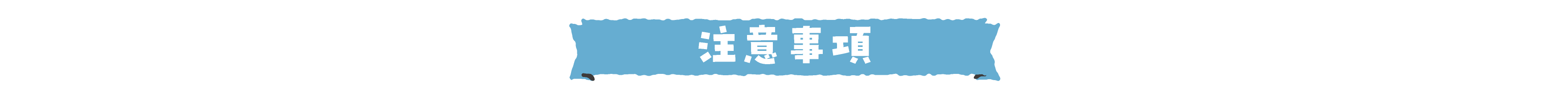 注意事項